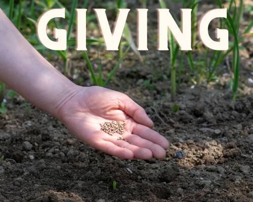Sowing into the Ministry